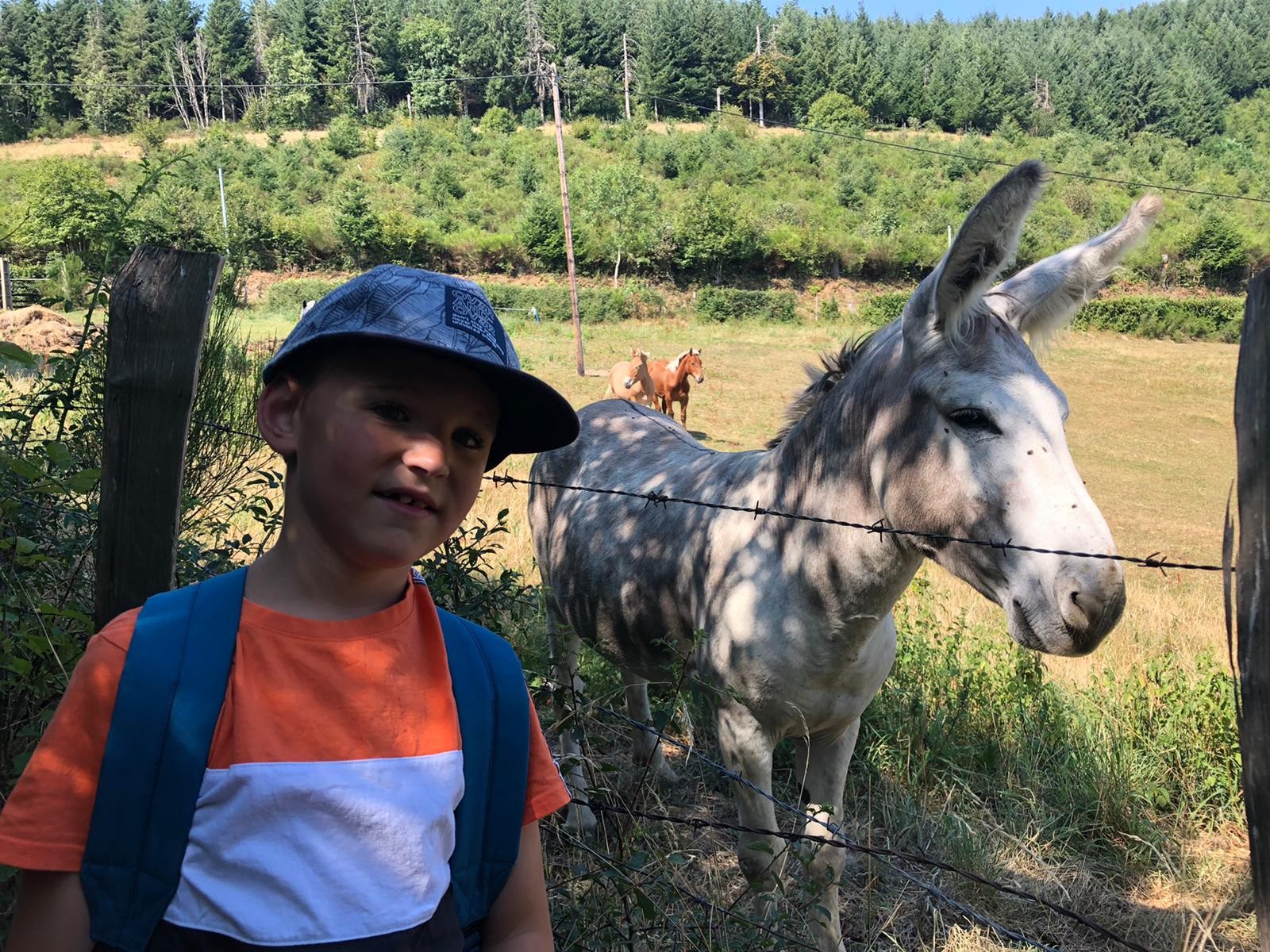 Une rencontre sur le chemin de la balade