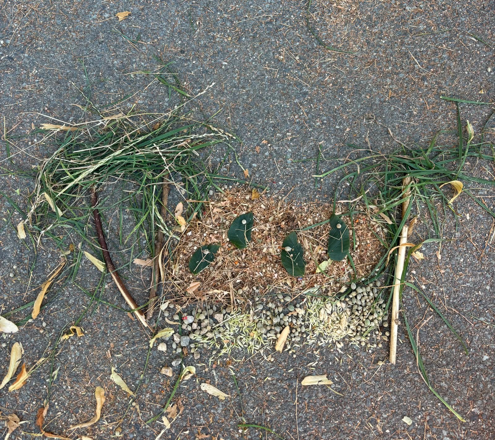 Land art 