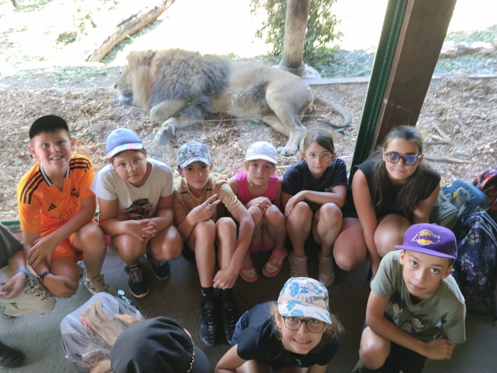 Zoo 