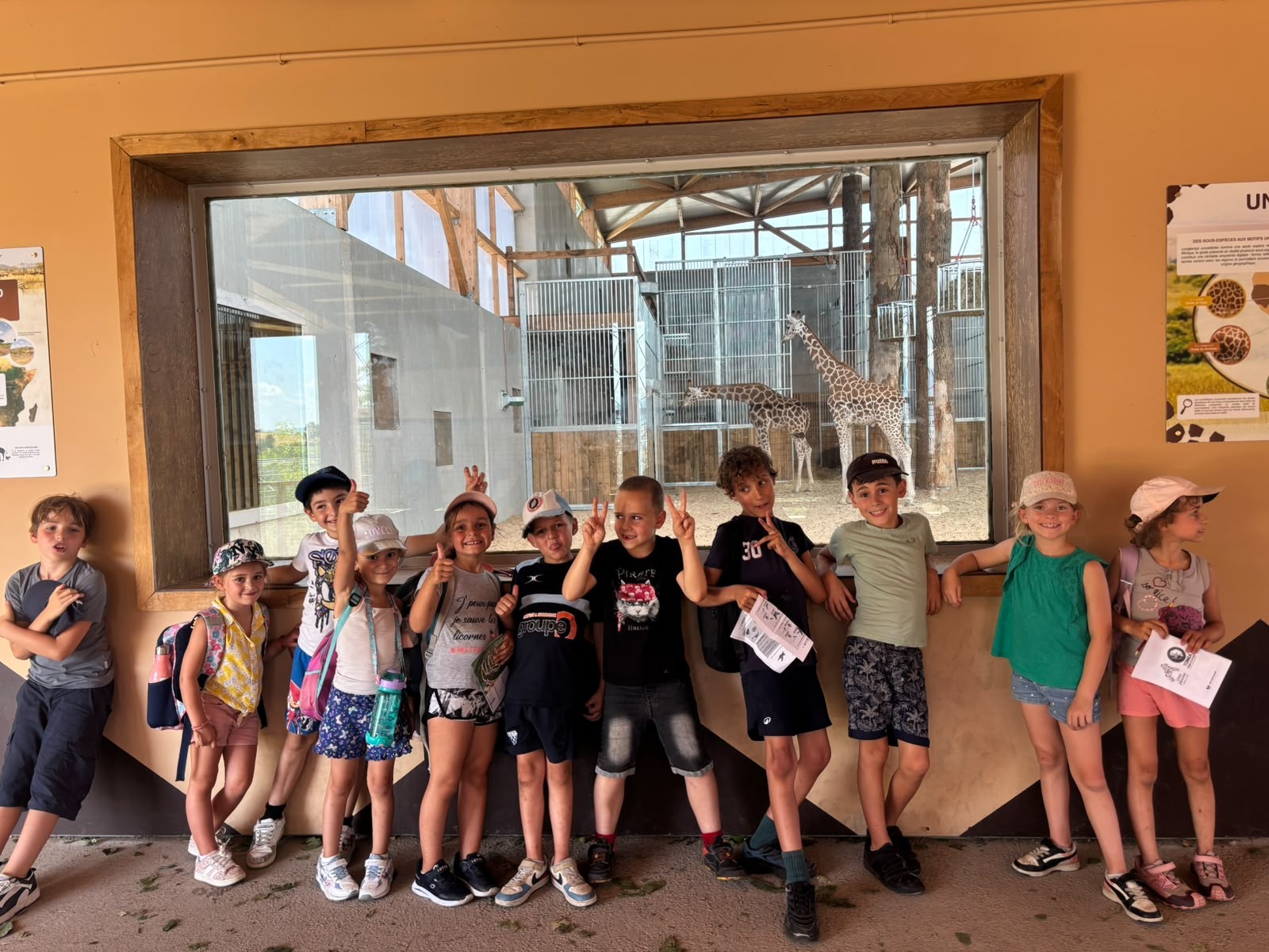 Zoo 2