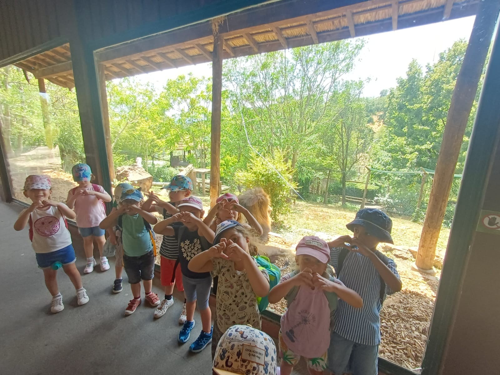 Zoo 4